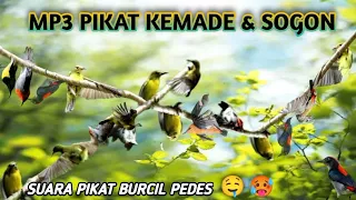 Download MP3 player Hot❗suara pikat burung kecil sogon \u0026 kemade bikin ngiler MP3