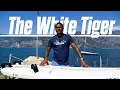 White Tiger Test Feedback by Taty Frans Future Fly Windsurfing
