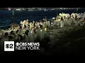 2025 Diner en Blanc held in Battery Park City