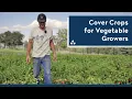 Cover Crops for Vegetable Growers - Practical Cover Croppers