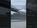 Oasis of the Seas passing under the Verrazano bridge
