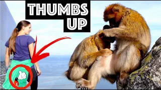 THUMBS UP!👍🤣 / Sailing Aquarius Ep. 182