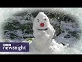 The wrong kind of snow John Sweeney investigates - BBC Newsnight