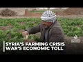 Download Lagu Syrische landbouw probeert te herstellen: sector probeert de verbrijzelde productiviteit te herst...
