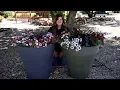 TruDrop Self Watering Containers Garden Answer