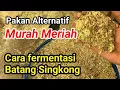 Download Lagu BAHAN INI SERING DIABAIKAN !! Begini Cara fermentasi batang singkong untuk pakan ternak murah Meriah