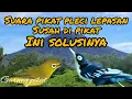 Download Lagu Suara pikat pleci susah turun/lepasan