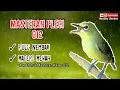 Download Lagu MASTERAN PLECI || PAS UNTUK KELAS G12 || FULL NEMBAK \u0026 MATERI MEWAH