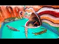 Download Lagu Unbelievable! Build Swimming Pool Water Slide Crocodile Around The Secret Underground House