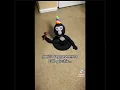 Gorilla tag try not to laugh 1