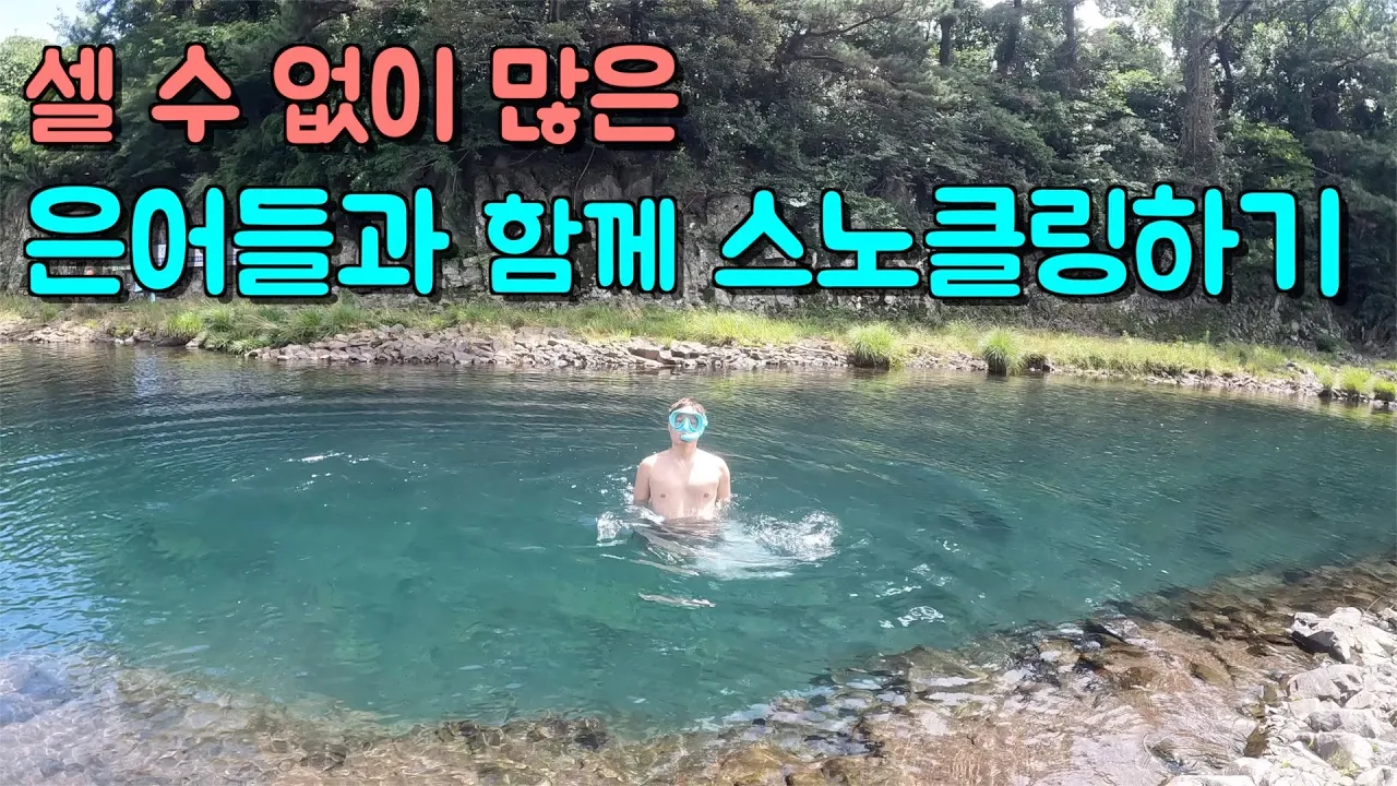 계곡물과 바닷물이 만나서 생긴 아주 특별한 계곡 썸네일