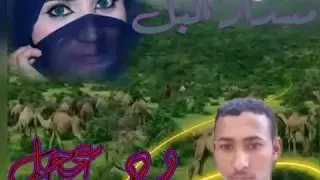 ود عجل الكباشي 