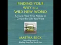 Finding Your Way in a Wild New World: Reclaim Your True Nature to Create the Life You Want