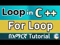 C Loops For Loop Explained in Amharic Beginner Friendly Coding Tutorial 2025