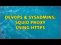 DevOps SysAdmins Squid Proxy using HTTPS 2 Solutions