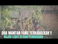 Download Lagu Hajatan Anak Juragan Sate Banjir !! Resepsi di Kampung Terpencil Jadi Heboh // Ngunduh mantu.