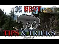 ARK 10 TIPS TRICKS 2023 FJORDUR
