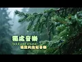Download Lagu 沉浸雨林之音，鋼琴的呢喃喚醒內在的寧靜。| 清晨音樂 | 睡眠音樂 | 獨處音樂 | 輕音樂 | 放鬆音樂 | 鋼琴音樂 | 純音樂 | Light Music |