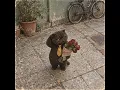 meczup