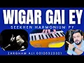 Download Lagu USTAD NUSRAT FATEH ALI KHAN | VIGAR GAYI YE THORAY DINAN | HARMONIUM \u0026 SUR SARGAM LESSON