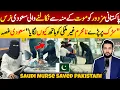 Download Lagu Saudi Nurse Saved A Pakistani Expatriate on Road - Woman in Saudi Arabia | KSA - Crown Prince MBS