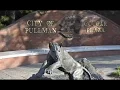 Visit Pullman