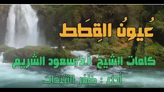 قصيدة  عيون القطط   للشيخ سعودالشريم     أداء   ظفر النتيفات   مونتاج قناة   محمد المدعث دندنها