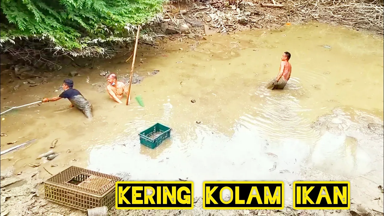 Ikan Lampam Bakar Tepi Tasik Cicah Air Asam Jawa #gengdunia