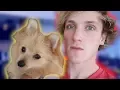 I m not hurting my dog