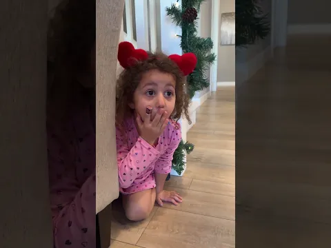 Sierra Learns to Clean Up - Role Play