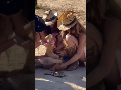 they love the dog #dog #dogs #funnyvideo #funnyshorts