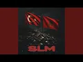 SLM