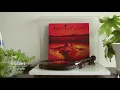 Alice in Chains - Them Bones #01 [Vinyl rip]