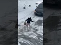 Woman s unstable walk across icy road ends in laughs