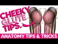 The Glutes Anatomy Tips Tricks and Mnemonics
