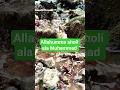 Download Lagu sholallahu alaih #egzonibrahimi #egzon #murottalquran #sejutaquran #murottalmerdu #fyp