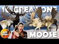 Download Lagu 10 CRAZY HUNTS for ALL of My GREAT ONE MOOSE!!! - Call of the Wild