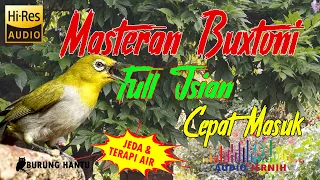 Download Masteran Pleci Buxtoni Full Isian Materi Sak Kebon Mudah Dan Cepat Masuk MP3