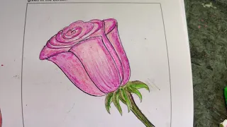 step by step class 5