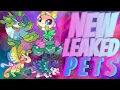 Prodigy Math Game NEW Leaked Mythical Epic Pets Coming to Prodigy
