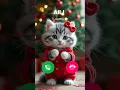 Download Lagu Aili Cat Calling 💋 #ringtone #cat #youtubeshorts #gato #catlover #mi #sound #ringtones #shorts