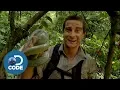 Download Lagu Bear Grylls in Borneo Jungle | Man vs Wild (4/6)