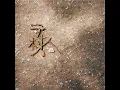 念 - 薛之谦