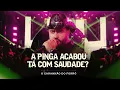 Download Lagu  A Pinga Acabou e Ta Com Saudade Ta - O Garanhão Do Forró 