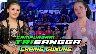 Download gending campursari tayup trisangga || caping gunung tayub terbaru MP3