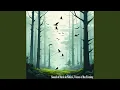 Download Lagu Suara Burung di Alam, Gema Hutan