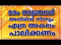 Download Lagu അതിരിൽ നിന്നുള്ള അകലം || മരം നടുമ്പോൾ ശ്രദ്ധിക്കേണ്ടത് || DANGER TREES CUTTING AND REMOVAL || LEGAL