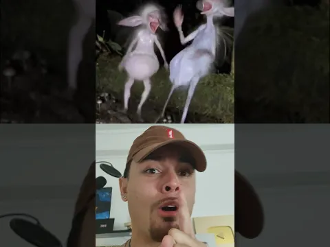 O QUE É ISSO?