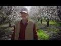 Almond Breeze 15