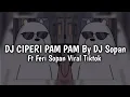 Download Lagu DJ CIPERI PAM PAM By Dj Sopan Ft Feri Sopan Viral Tiktok